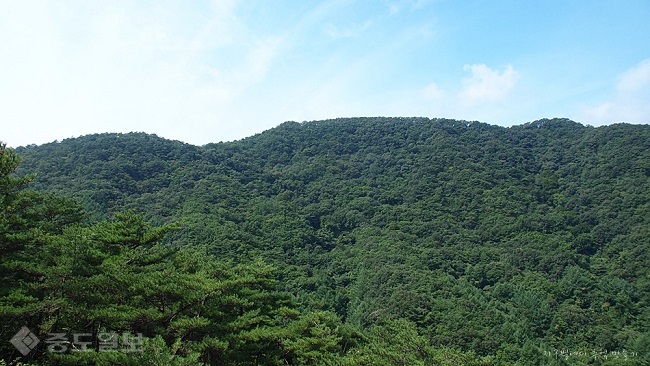 ▲출처=티스토리 블로그 '지구별에서 추억 만들기'