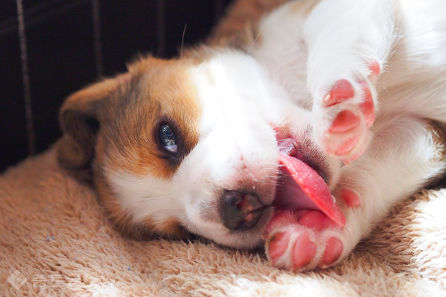 ▲ 사진은 기사 내 특정 사실과 관계없습니다./게티 이미지 뱅크