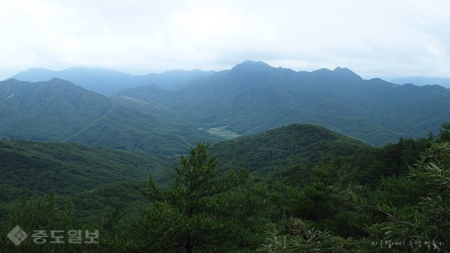 ▲출처=티스토리 블로그 '지구별에서 추억 만들기'