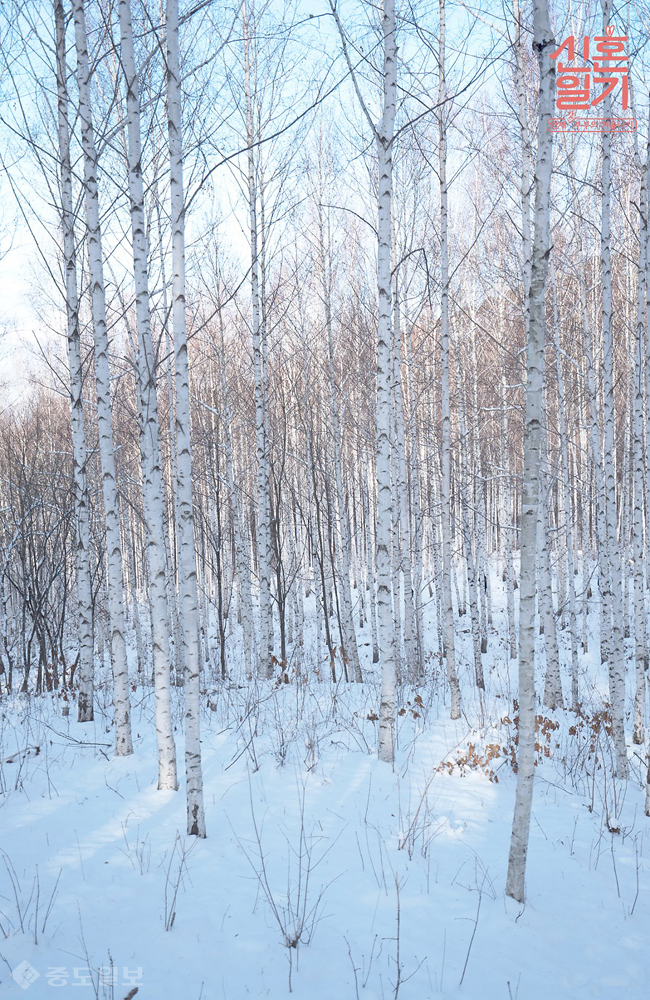 ▲출처=tvN 공식 홈페이지.