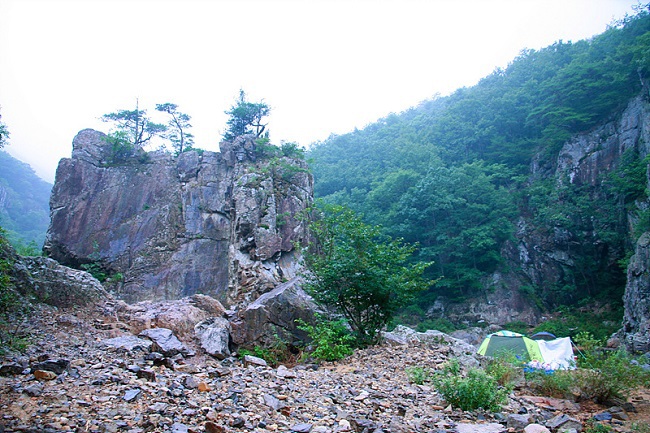 ▲출처=티스토리 블로그 '포토 에세이'