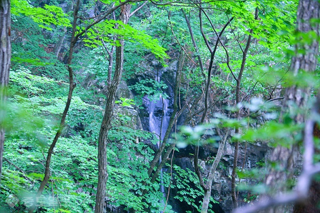 ▲출처=티스토리 블로그 '포토 에세이'