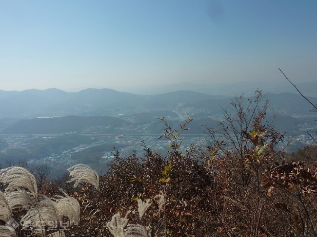 ▲출처=다음 블로그 '무니네'