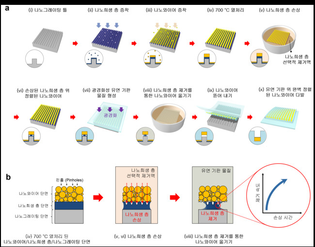 ▲ 개발된 새로운 나노와이어 전사 공정 과정과 나노희생층 식각 원리의 모식도