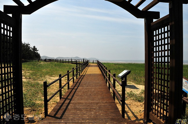 ▲출처=다음 블로그 '유담의 등산과 야생화'