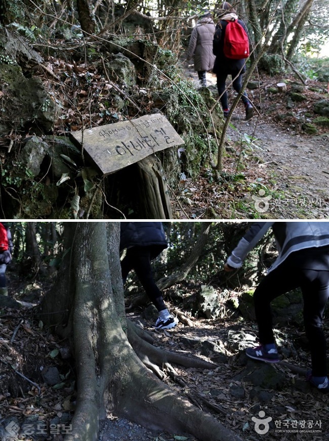 ▲출처=한국관광공사.