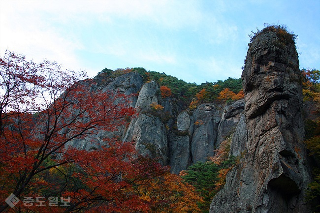 ▲출처=티스토리 블로그 '포토 에세이'