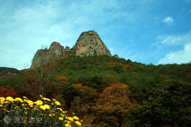 ▲출처=티스토리 블로그 '포토 에세이'