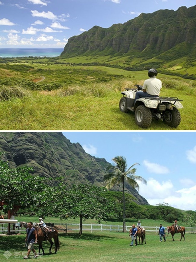 ▲출처=가자하와이.