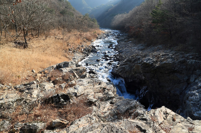 ▲출처=다음 블로그 '그쟈의 시와 삶 이야기'