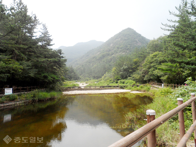 ▲출처=다음 블로그 '임혁현의 잔잔한 미소'