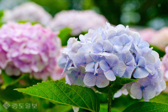 ▲ 사진=게티이미지뱅크