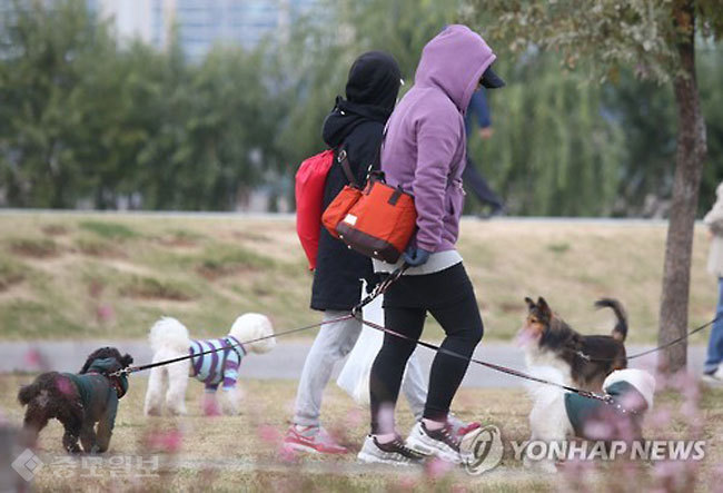 ▲ 21일은 전국이 대체로 맑은 가운데 바람을 동반한 쌀쌀한 날씨가 이어지겠습니다. /사진=연합db