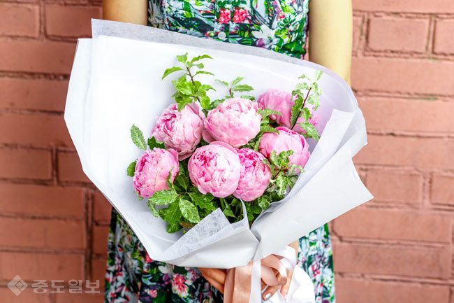 ▲ 사진=게티이미지뱅크