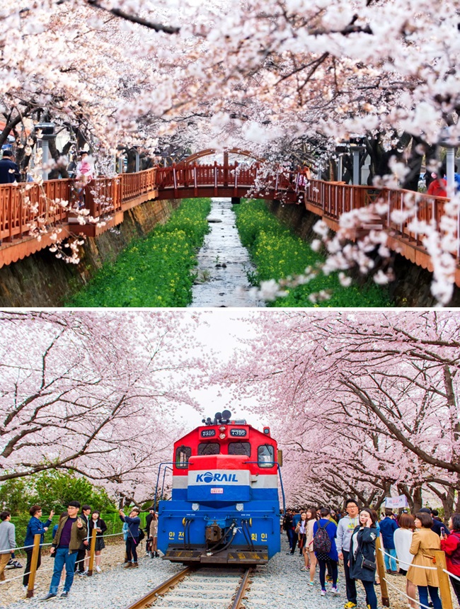 ▲출처=한국관광공사 제공.