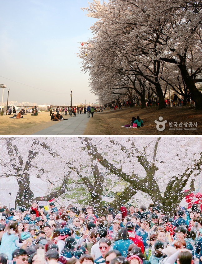 ▲출처=한국관광공사/연합뉴스.