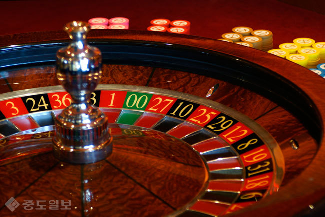 ▲출처=게티 이미지 뱅크. ▲출처=게티 이미지 뱅크.