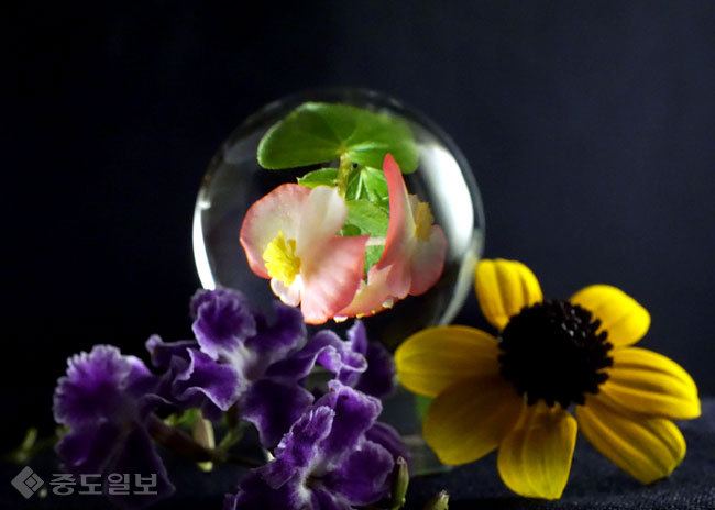 ▲ 사진=게티이미지뱅크