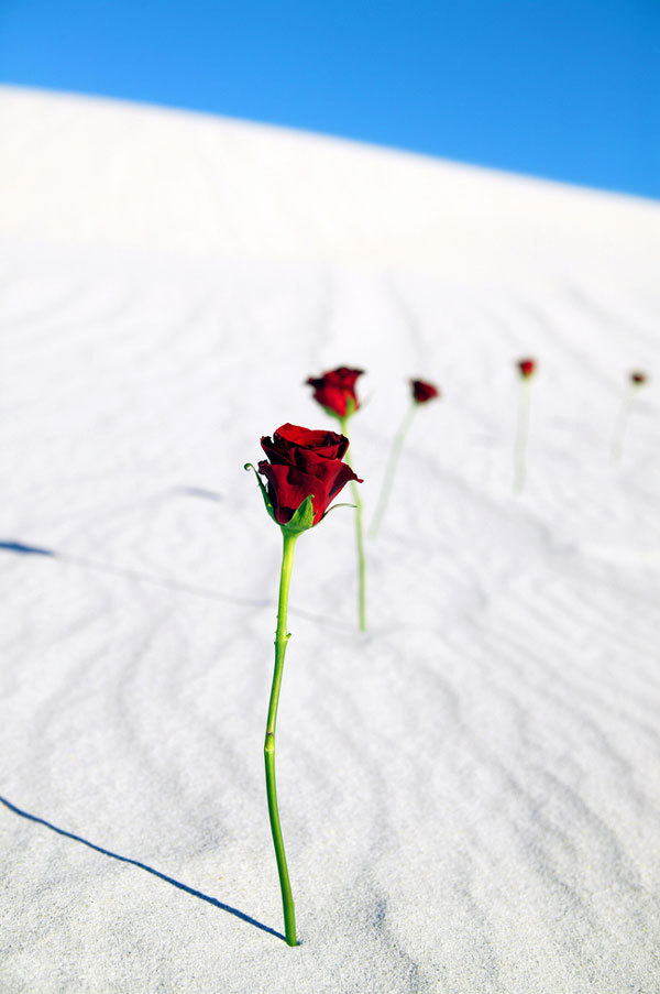 ▲ 사진=게티이미지뱅크