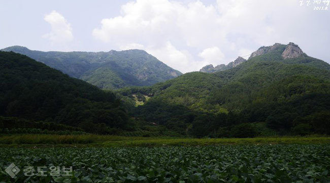 ▲출처=네이버 블로그 '미래는'