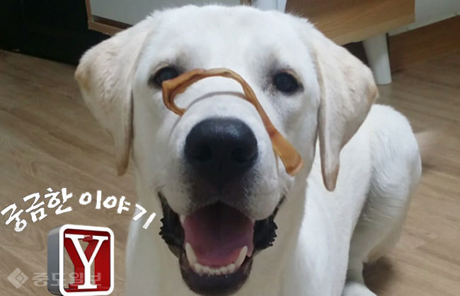▲ 사진='궁금한 이야기 Y' 예고