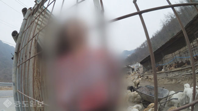 ▲ 사진='궁금한 이야기 Y' 예고