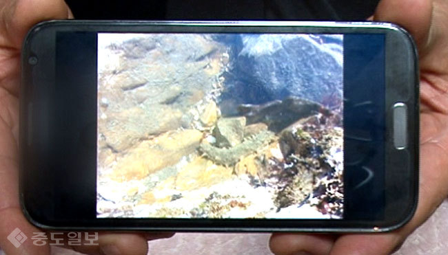 ▲ 사진='궁금한 이야기 Y' 예고