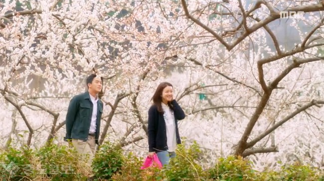 ▲ 자체발광오피스 방송화면 캡쳐 ▲ 자체발광오피스 방송화면 캡쳐