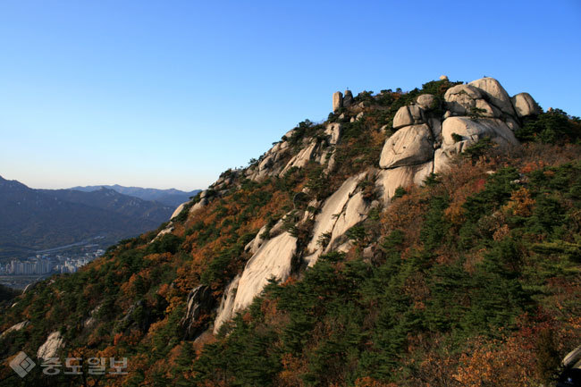 ▲출처=티스토리 블로그 '꽃과 자연과 여행과 시'
