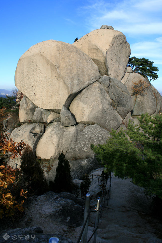 ▲출처=티스토리 블로그 '꽃과 자연과 여행과 시'