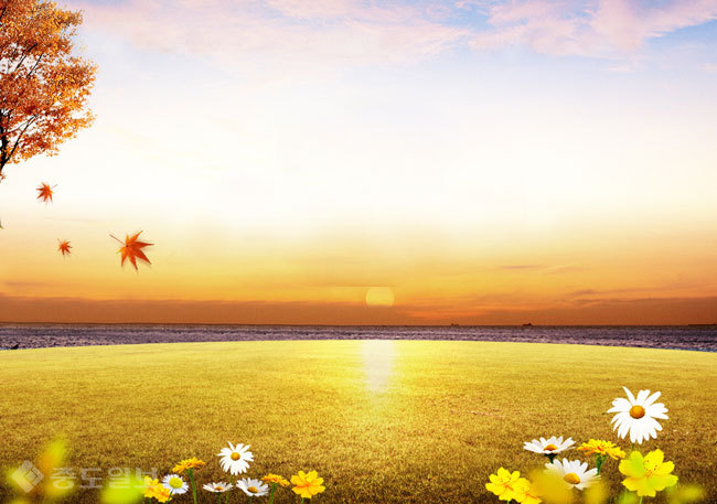 ▲ 사진=게티이미지뱅크