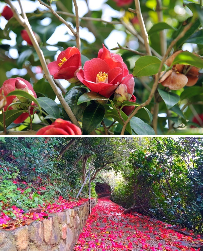 ▲출처=대한민국 구석구석/네이버 블로그.