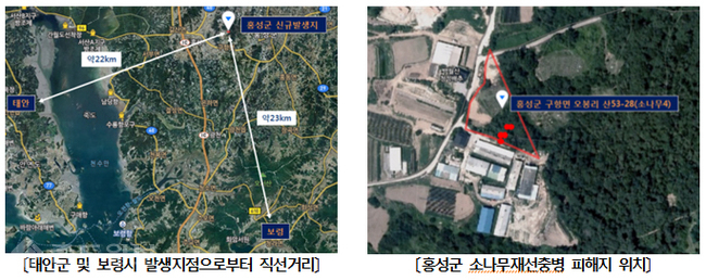 ▲ 소나무재선충이 최종 확인된 홍성군 구항면 오봉리 일원. 기존 발생지역인 태안, 보령과는 22~23km 떨어져 있다. <충남도제공> 