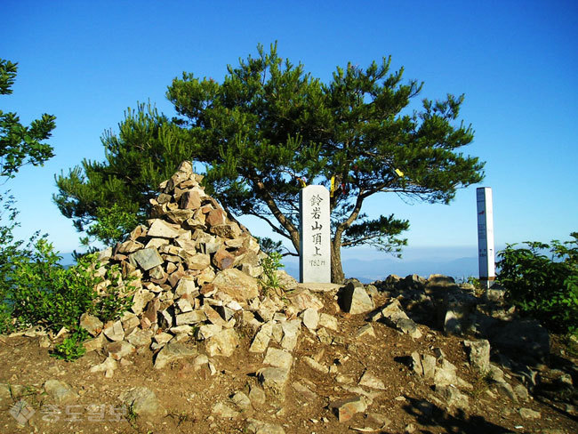 ▲출처=다음 블로그 '산으로 간 꼬등어'