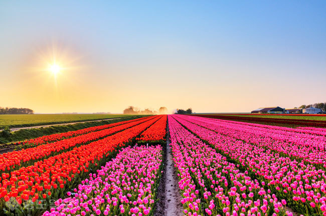 ▲ 사진=게티이미지뱅크