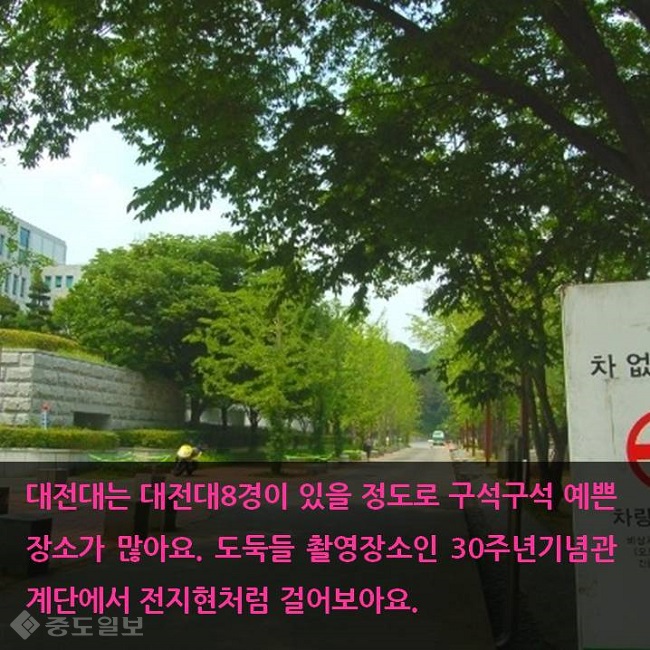 ▲오희룡 기자, 사진=각대학 홍보실, 대전지하철공사 블로그