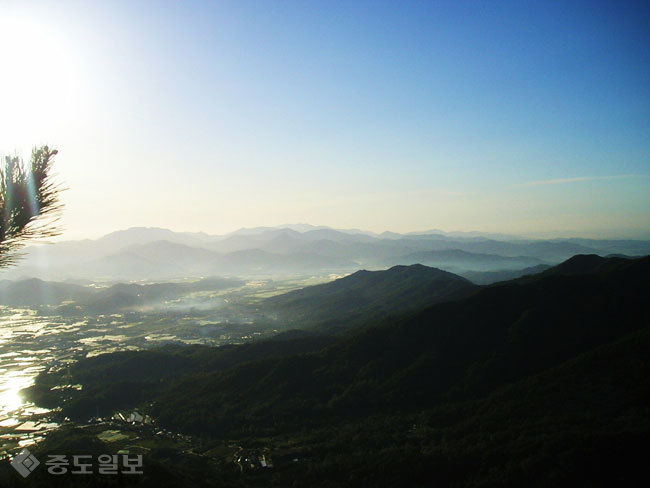 ▲출처=다음 블로그 '산으로 간 꼬등어' ▲출처=다음 블로그 '산으로 간 꼬등어'