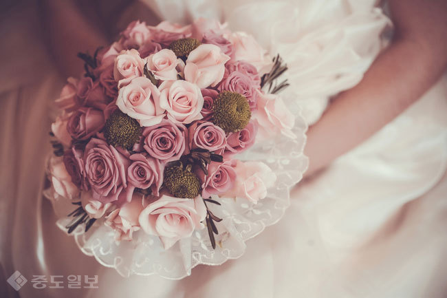 ▲ 사진=게티이미지뱅크