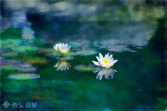 ▲ 사진=게티이미지뱅크