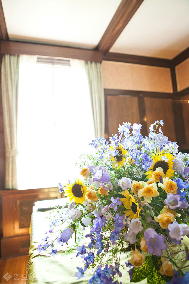 ▲ 사진=게티이미지뱅크