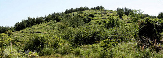 ▲출처=다음 블로그 '문평 명리 사관 학교'