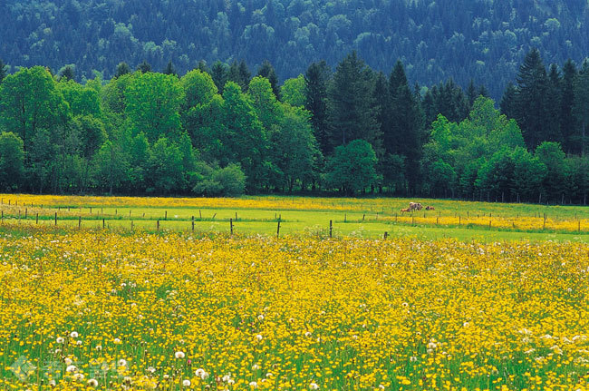 ▲ 사진=게티이미지뱅크