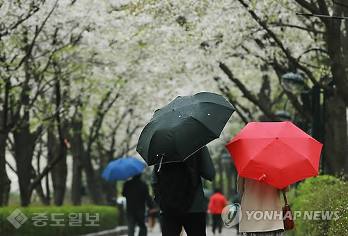 ▲ 11일은 전국이 대체로 오전에 비가 그치고 오후부터 맑아지겠습니다. /사진=연합db