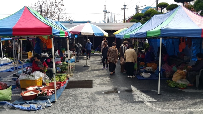 ▲ 서대전농협이 지난 11일 서대전농협 본점 주차장에서 ‘서대전농협 화요장터’를 올해 첫 선을 보였다 =대전농협중앙회 제공