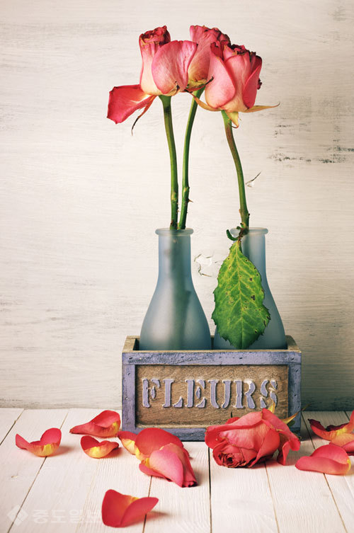 ▲ 사진=게티이미지뱅크