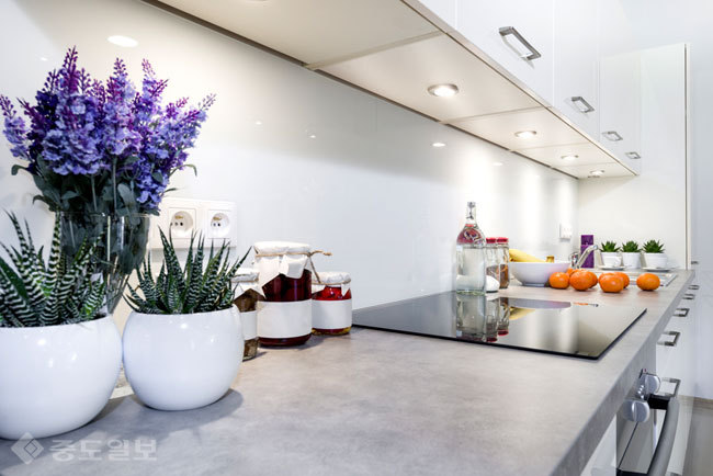 ▲ 사진=게티이미지뱅크