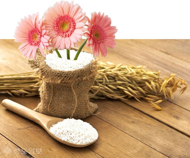 ▲ 사진=게티이미지뱅크