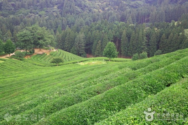 ▲출처='대한민국 구석구석' 제공
