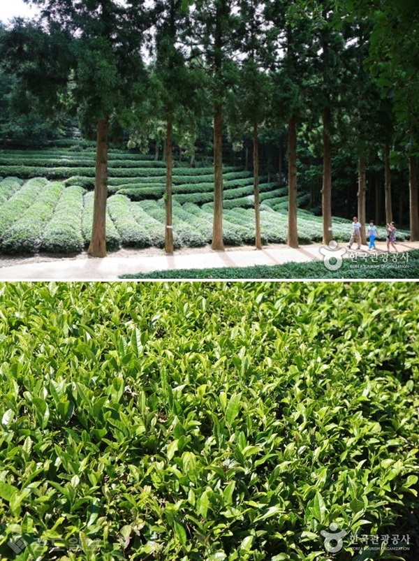 ▲출처='대한민국 구석구석' 제공