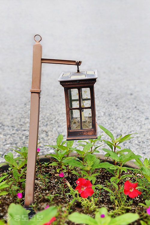 ▲ 사진=게티이미지뱅크 